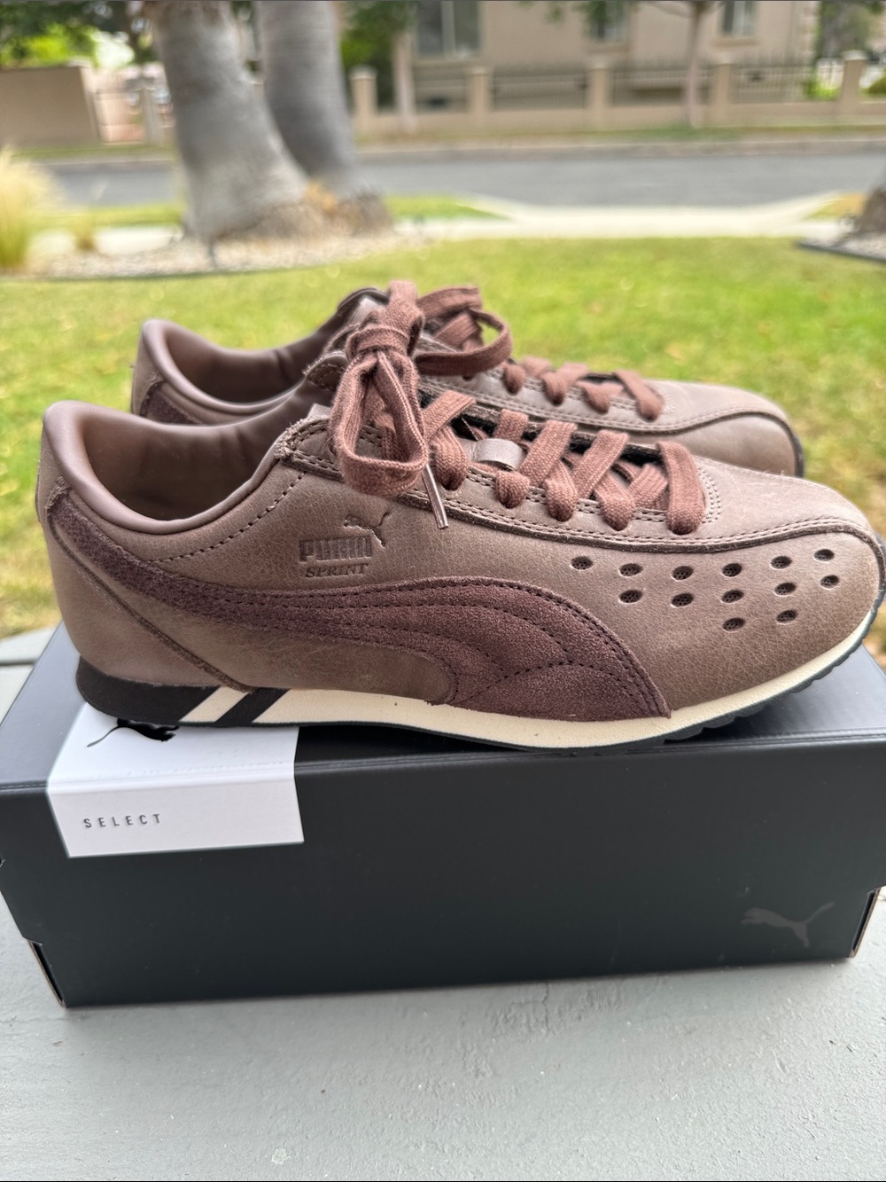 Puma Unisex Sprint Premium Espresso Brown Leather/Suede Low-Top Sneakers - Picture 4 of 7